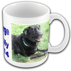 Personalized Photo & Text Mug 11 Personalized Photo & Text Mug -Agility Shop 000011 1B full 35153.1638911387