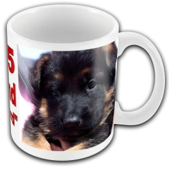 Personalized Photo & Text Mug 14 Personalized Photo & Text Mug -Agility Shop 000011 3A full 57442.1638911380
