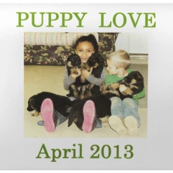 Personalized Computer Mouse Pad - Custom Text & Photo 11 Personalized Computer Mouse Pad - Custom Text & Photo -Agility Shop 000014 5B full 44219.1638911375