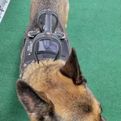 Leather Heavy Duty Mobility Harness -Agility Shop 0011 63907.1666639053