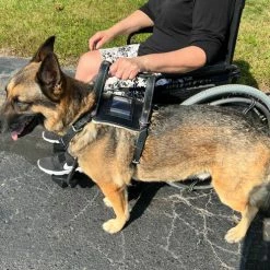 Leather Heavy Duty Mobility Harness -Agility Shop 002 95715.1666639053