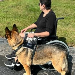 Leather Heavy Duty Mobility Harness -Agility Shop 003 66487.1666639053