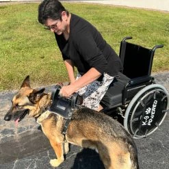 Leather Heavy Duty Mobility Harness -Agility Shop 006 31171.1666639053