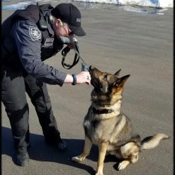 Bite Suit Tug 2pk - 2.5x13 -Agility Shop 007002 11 full 77662.1645445268