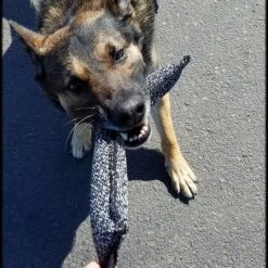 Bite Suit Tug 2pk - 2.5x13 -Agility Shop 007002 4 full 13615.1645445268