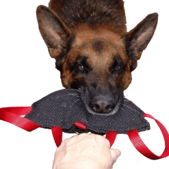 Bite Suit Wedge With Handles 6x10 -Agility Shop 00713113 2 full 79880.1652094060