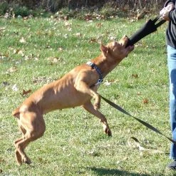 Bite Suit Tugs - Single Handle -Agility Shop 0074221H 100 full 42791.1638911537