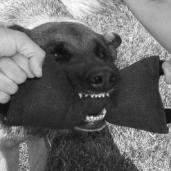 Bite Suit Tugs - Double Handle -Agility Shop 0074222H 100 full 83279.1638911512