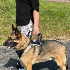 Leather Heavy Duty Mobility Harness -Agility Shop 007 37536.1666639053