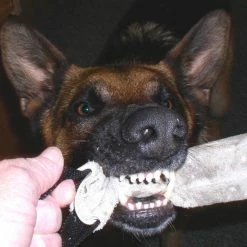 Leather Tugs -Agility Shop 008200L 100 full 31145.1638911529