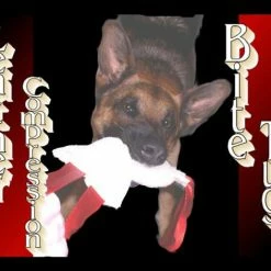 Leather Tugs -Agility Shop 008400EdAD 40587.1638911537