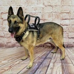 Leather Heavy Duty Mobility Harness -Agility Shop 009 33384.1666639053