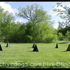 Schutzhund IGP/IPO Mini Blinds-Set Of 6 8 Schutzhund IGP/IPO Mini Blinds-Set Of 6 -Agility Shop 109003 1 full 58401.1638911366
