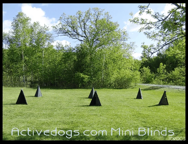 Schutzhund IGP/IPO Mini Blinds-Set Of 6 3 Schutzhund IGP/IPO Mini Blinds-Set Of 6 - Image 3