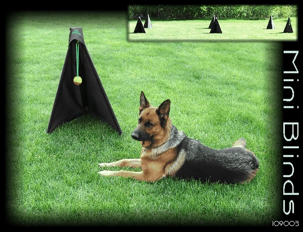 Schutzhund IGP/IPO Mini Blinds-Set Of 6 5 Schutzhund IGP/IPO Mini Blinds-Set Of 6 - Image 5