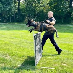 IGP/IPO/Schutzhund Aluminum Deluxe Hurdle Jump -Agility Shop 109020 50 31311.1664373987