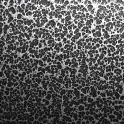 Aluminum Dumbbell Rack -Agility Shop 109028 2 full 25387.1638911342