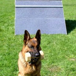 IGP/IPO/Schutzhund Scaling Wall A-Frame -Agility Shop 109030 100 full 82467.1653998053