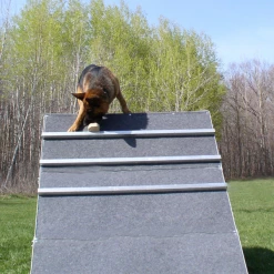 IGP/IPO/Schutzhund Scaling Wall A-Frame -Agility Shop 109030 21A full 56829.1653998053