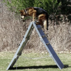 IGP/IPO/Schutzhund Scaling Wall A-Frame -Agility Shop 109030 3A full 90509.1653998053