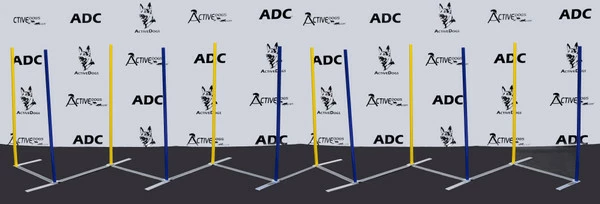 Agility Competition Weave Poles - Plus 2x2 Training System 12 Agility Competition Weave Poles - Plus 2x2 Training System - Image 12