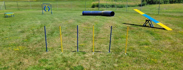 Agility Competition Weave Poles - Plus 2x2 Training System 6 Agility Competition Weave Poles - Plus 2x2 Training System - Image 6