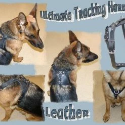 Ultimate Tracking Harness -Agility Shop 206300 1 full 30789.1638911398
