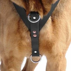 Ultimate Tracking Harness -Agility Shop 206300 7 full 34710.1638911402