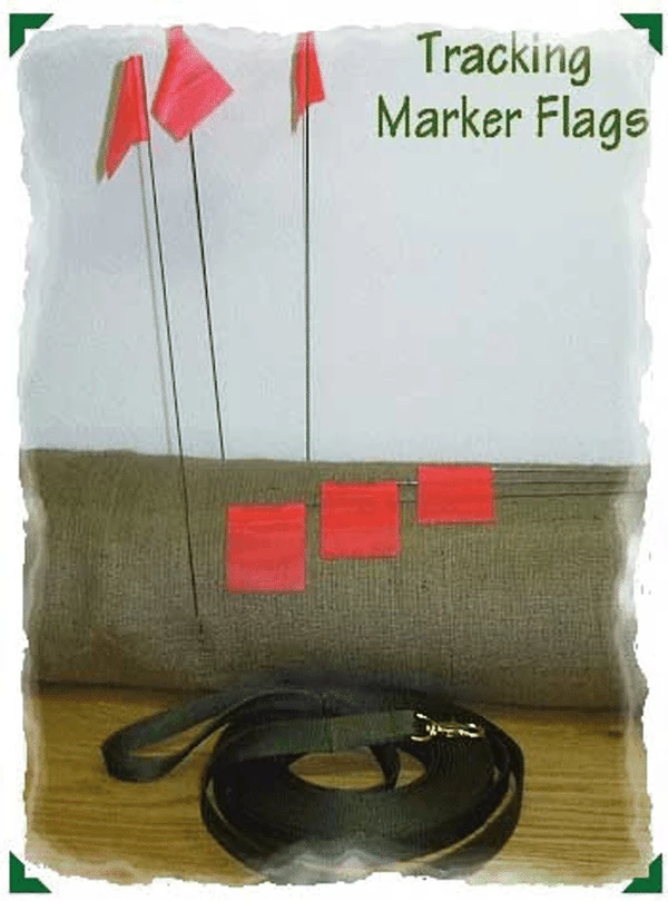 Tracking Flags - Set Of 6 2 Tracking Flags - Set Of 6 - Image 2