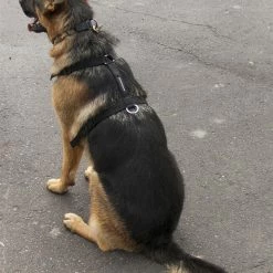 Nylon Tracking Dog Harness -Agility Shop 207086 4 full 74214.1638911358