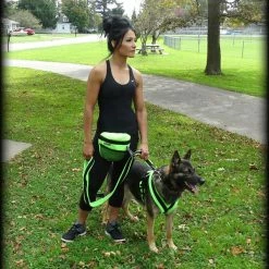 ActiveDogs Fleece Handler Bag W/ Bungee Leash -Agility Shop 273040 16 full 58013.1638911456