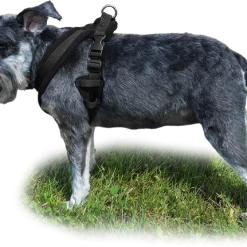 ActiveDogs Fleece No Pull Dog Harness -Agility Shop 273050 12a full 97633.1646860328