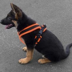 ActiveDogs Fleece No Pull Dog Harness -Agility Shop 273050 14 full 85287.1646860328