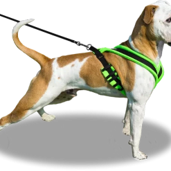 ActiveDogs Fleece No Pull Dog Harness -Agility Shop 273050 16b full 55428.1646860328