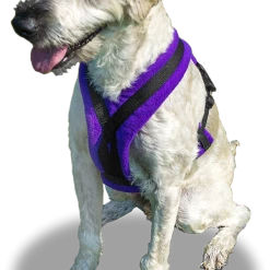 ActiveDogs Fleece No Pull Dog Harness -Agility Shop 273050 17 full 30106.1646860328