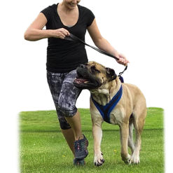 ActiveDogs Fleece No Pull Dog Harness -Agility Shop 273050 23a full 53742.1645445212