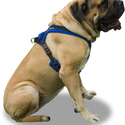 ActiveDogs Fleece No Pull Dog Harness -Agility Shop 273050 25a full 35312.1645445212