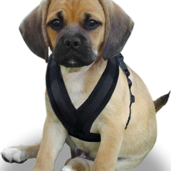 ActiveDogs Fleece No Pull Dog Harness -Agility Shop 273050 26a full 02680.1645445212