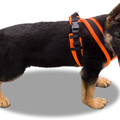 ActiveDogs Fleece No Pull Dog Harness -Agility Shop 273050 27 full 40772.1646860328