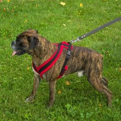 ActiveDogs Fleece No Pull Dog Harness -Agility Shop 273050 27 full 92906.1645445212