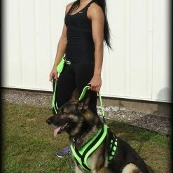 ActiveDogs Fleece No Pull Dog Harness -Agility Shop 273050 32 full 11547.1646860328