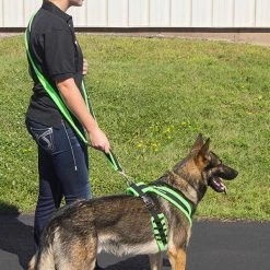 ActiveDogs Fleece Hands Free Leash -Agility Shop 273080 6 full 97998.1638911440