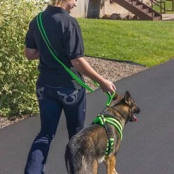 ActiveDogs Fleece Hands Free Leash -Agility Shop 273080 8 full 62863.1638911443