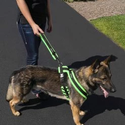 ActiveDogs Fleece Short Loop Leash -Agility Shop 273085 4 full 36934.1638911494