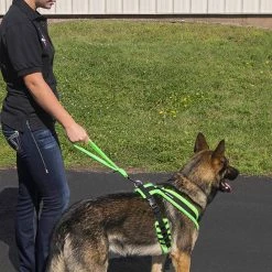 ActiveDogs Fleece Short Loop Leash -Agility Shop 273085 5 full 93735.1638911490