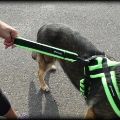 ActiveDogs Fleece Short Loop Leash -Agility Shop 273085 8 full 36645.1638911486