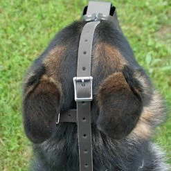 ActiveDogs Black Plastic Muzzle -Agility Shop 303327 2 full 99666.1638911417