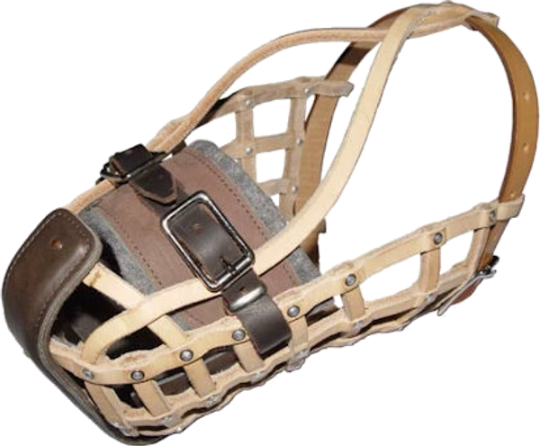 Leather German Agitation Basket Muzzle 1 Leather German Agitation Basket Muzzle