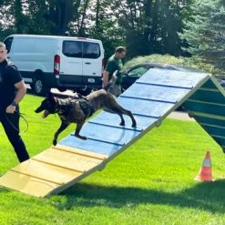 Agility A-Frame Aluminum/Wood -Agility Shop 3505270 20 11222.1664373862