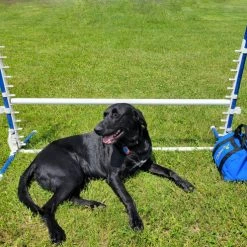 Agility Low-Gravity Medium Sand Bag Holds 20# -Agility Shop 350755 18 full 76121.1638911533